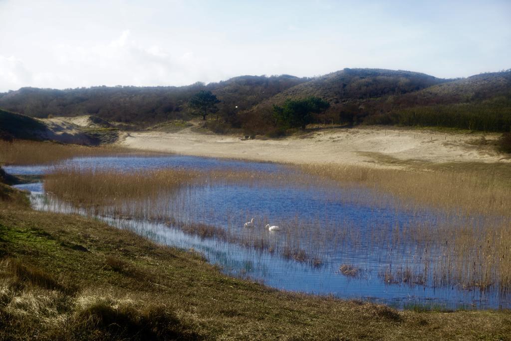 Bed And Breakfast Kik En Bun Katwijk aan Zee Екстер'єр фото